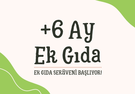 6 Ay Ek Gıdalar