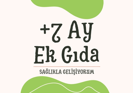 7 Ay Ek Gıdalar