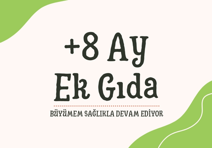 8 Ay Ek Gıdalar